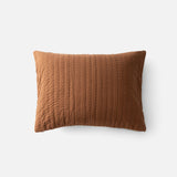 Albright Sham