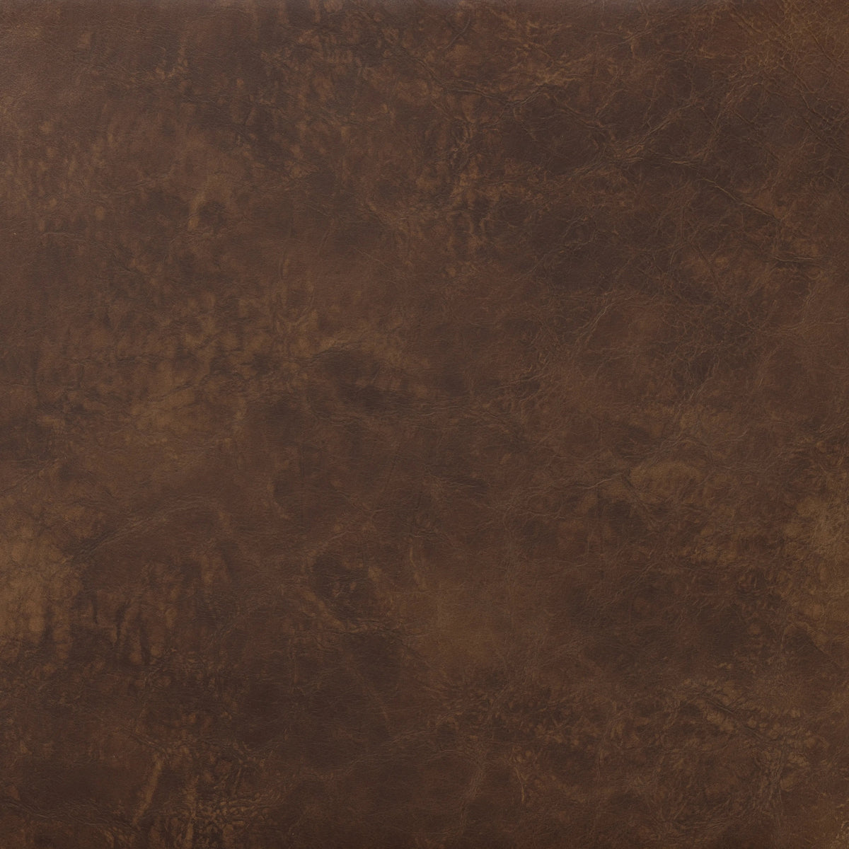Arvada Cigar | Four Hands Sample