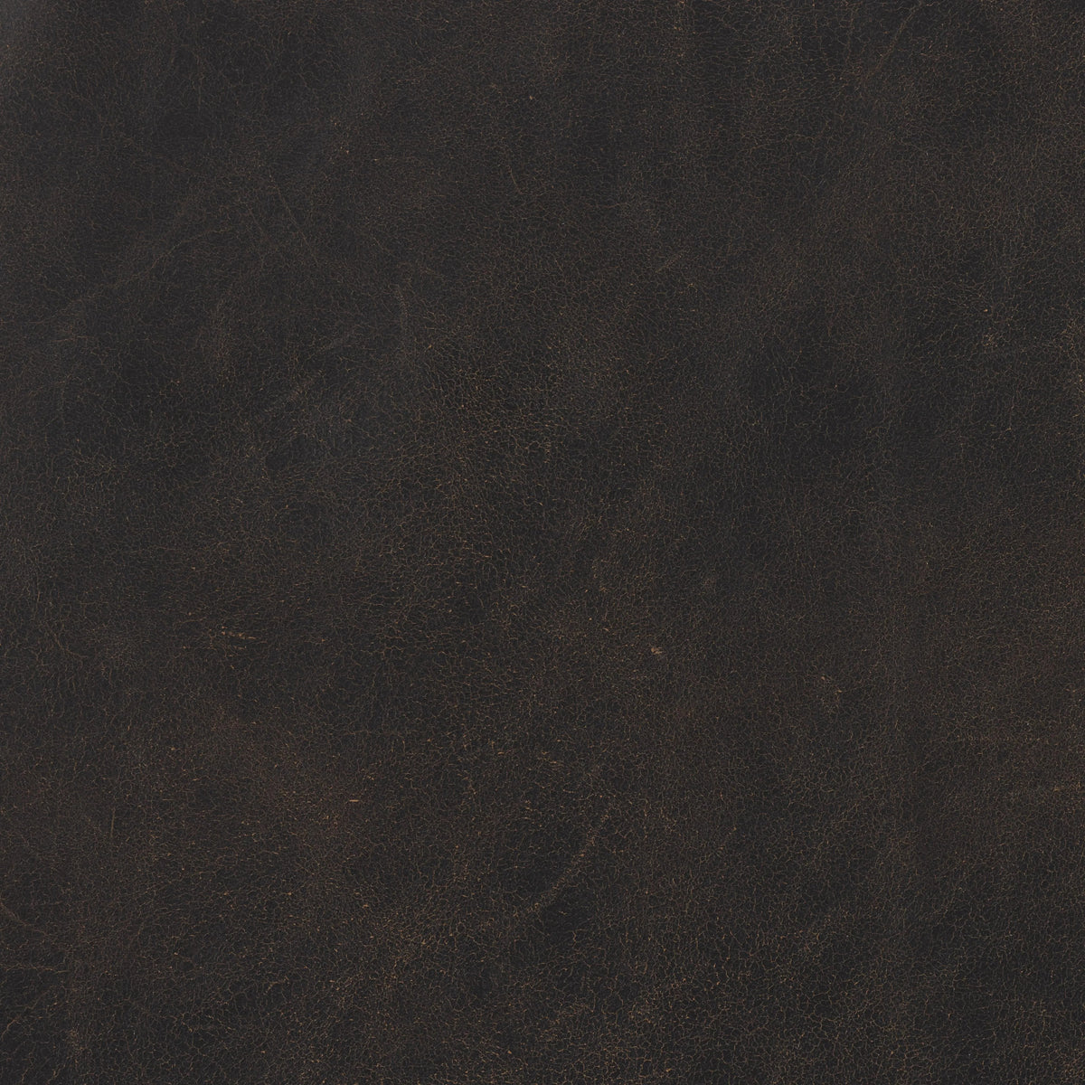 Destroyed Black | Four Hands Sample