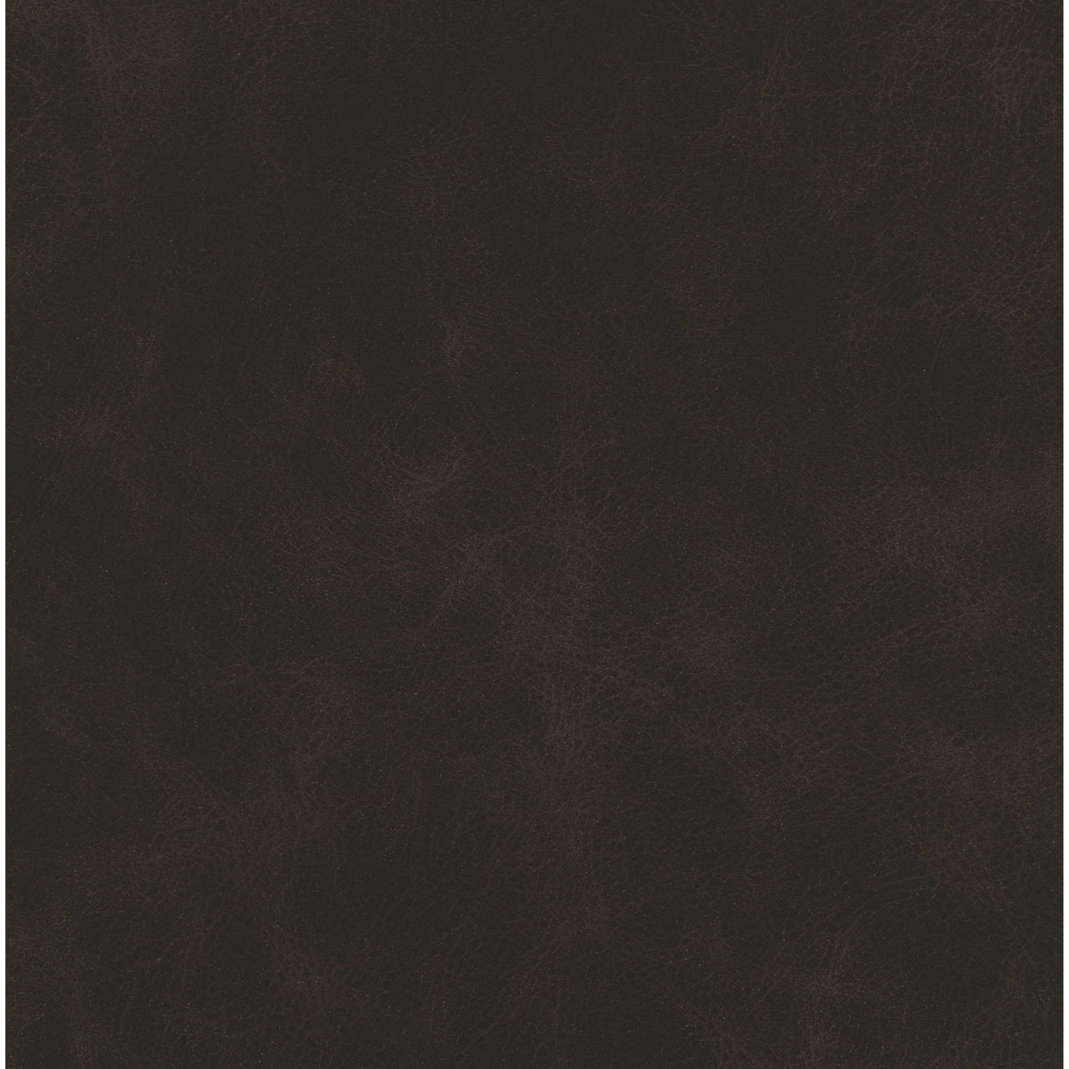 Distressed Black | Four Hands Sample