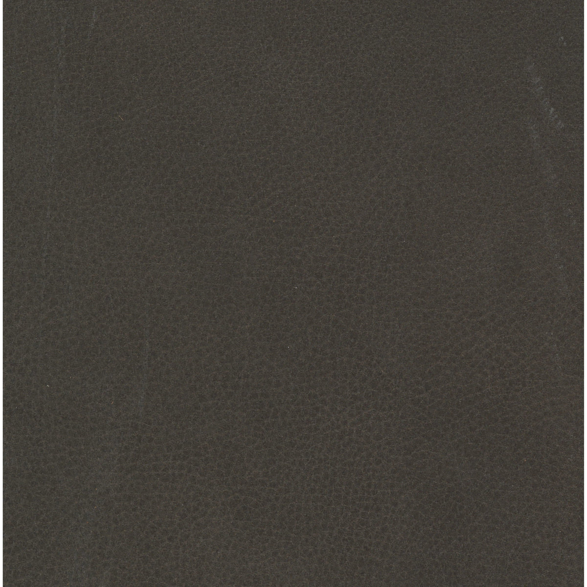 Heritage Graphite | Four Hands Sample