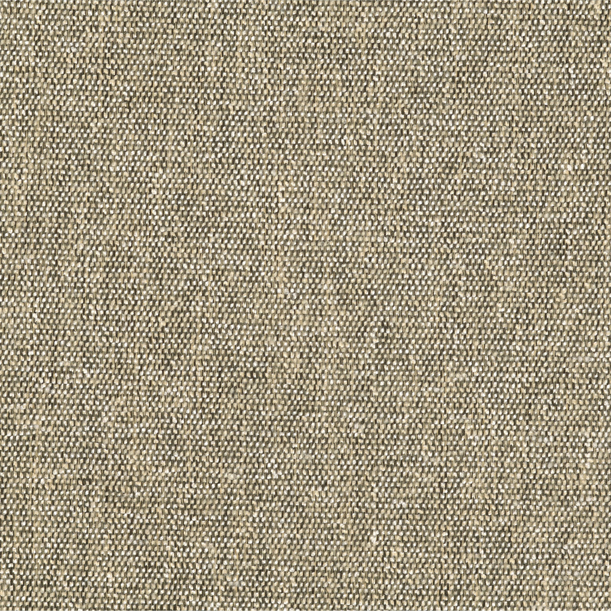 Honey Wheat | Four Hands Sample