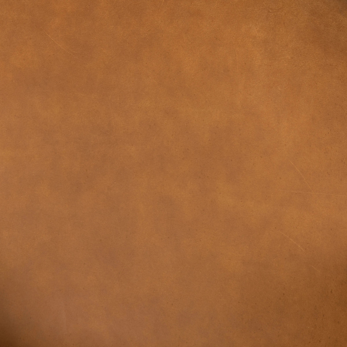 Kennison Cognac | Four Hands Sample