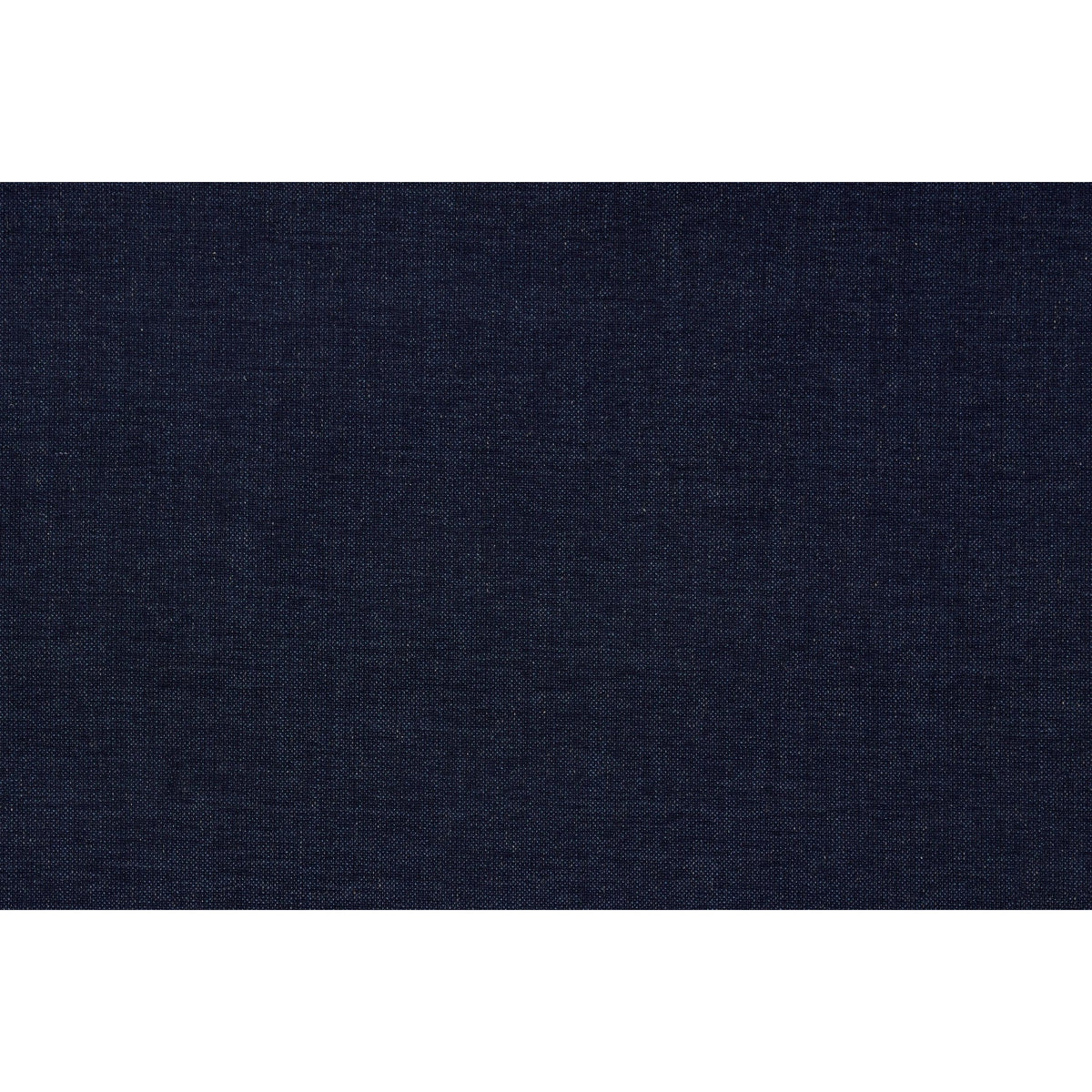 Lester Ink (Performance) Grade G | Cisco Home Fabric Sample