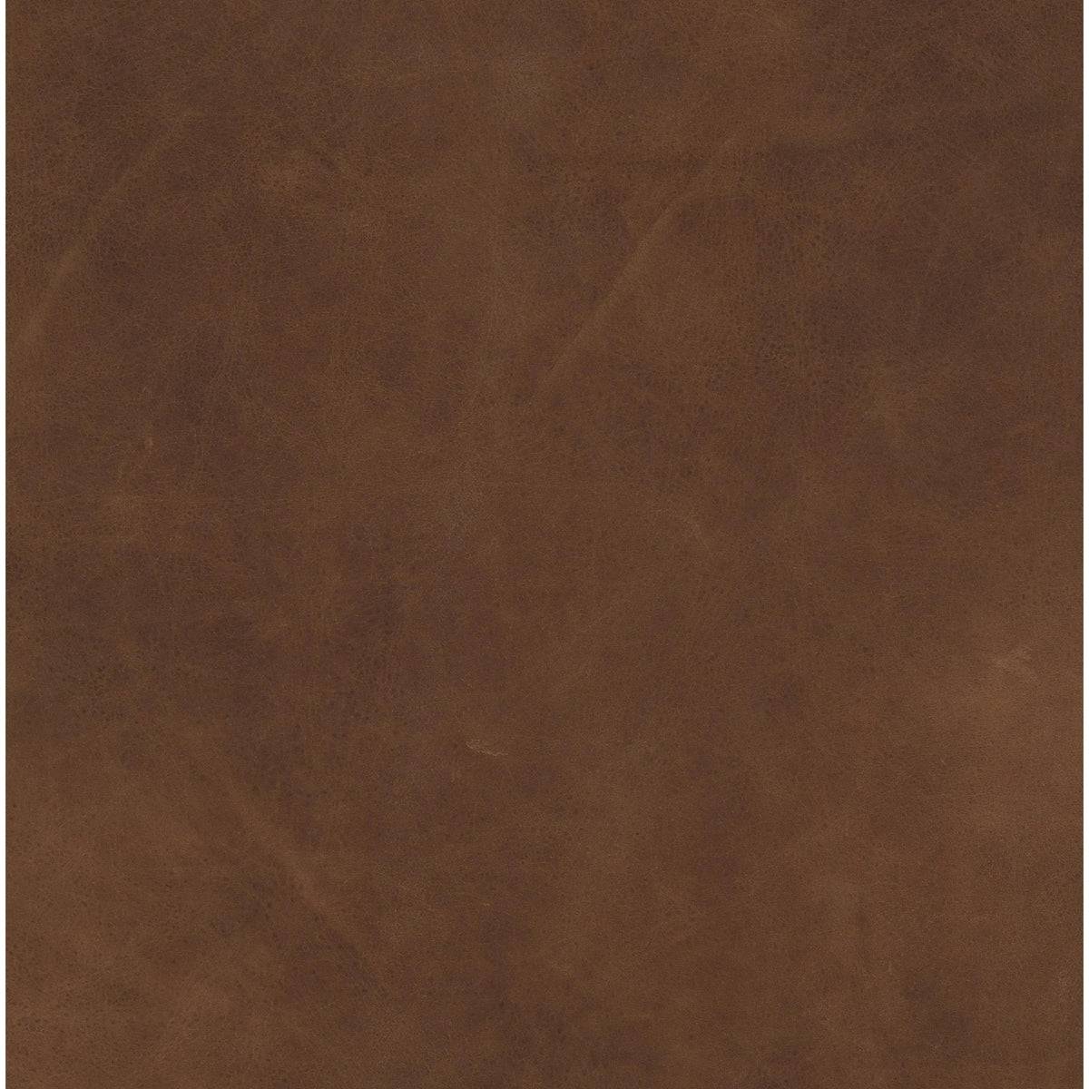 Natural Washed Camel | Four Hands Sample