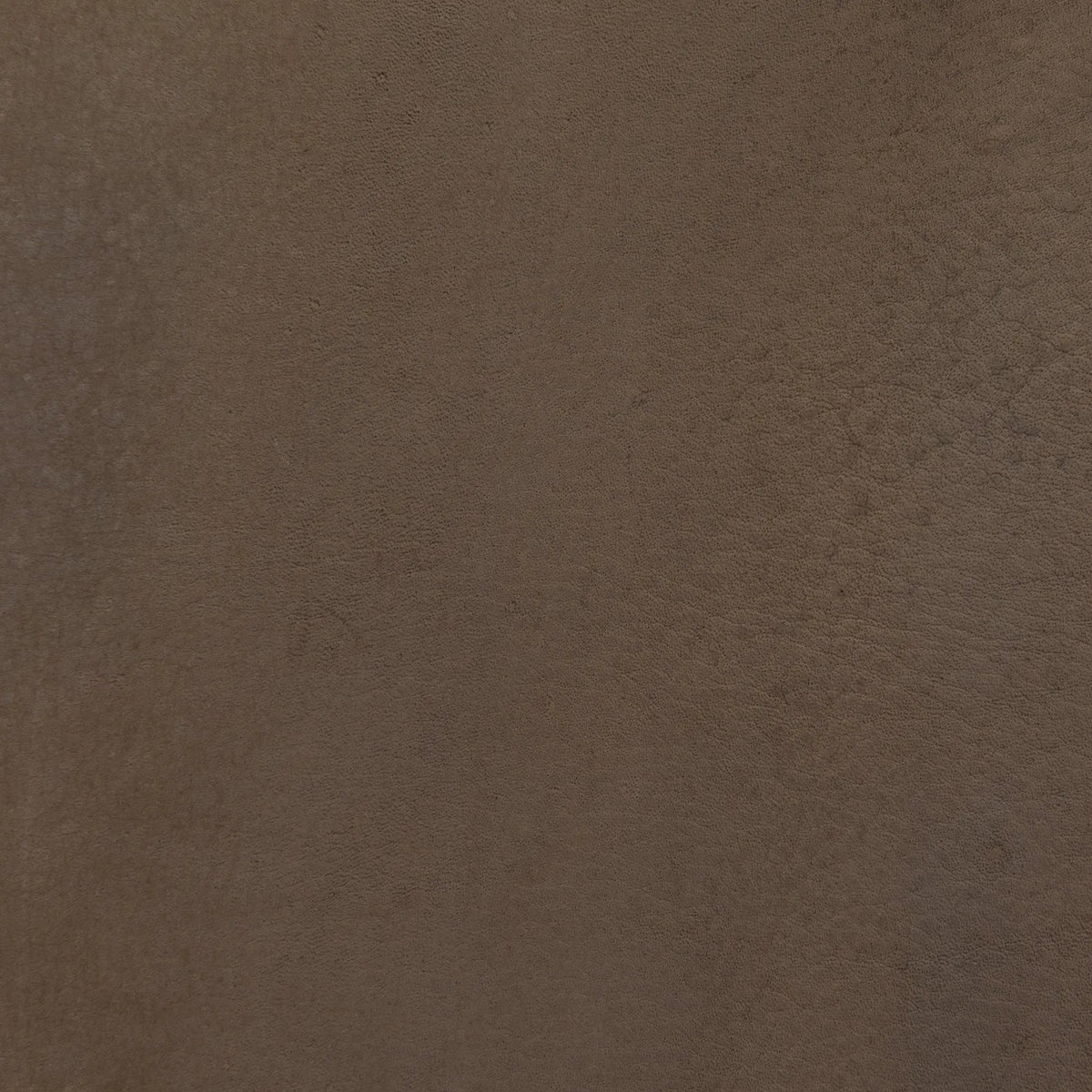 Nubuck Cigar | Four Hands Sample