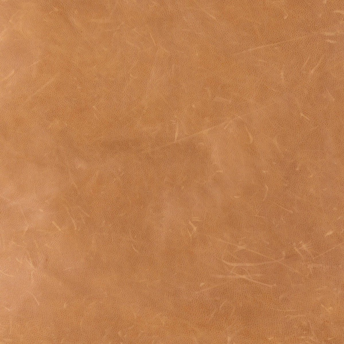 Palermo Butterscotch | Four Hands Sample