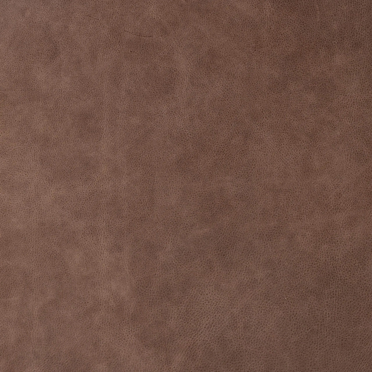 Palermo Cigar | Four Hands Sample