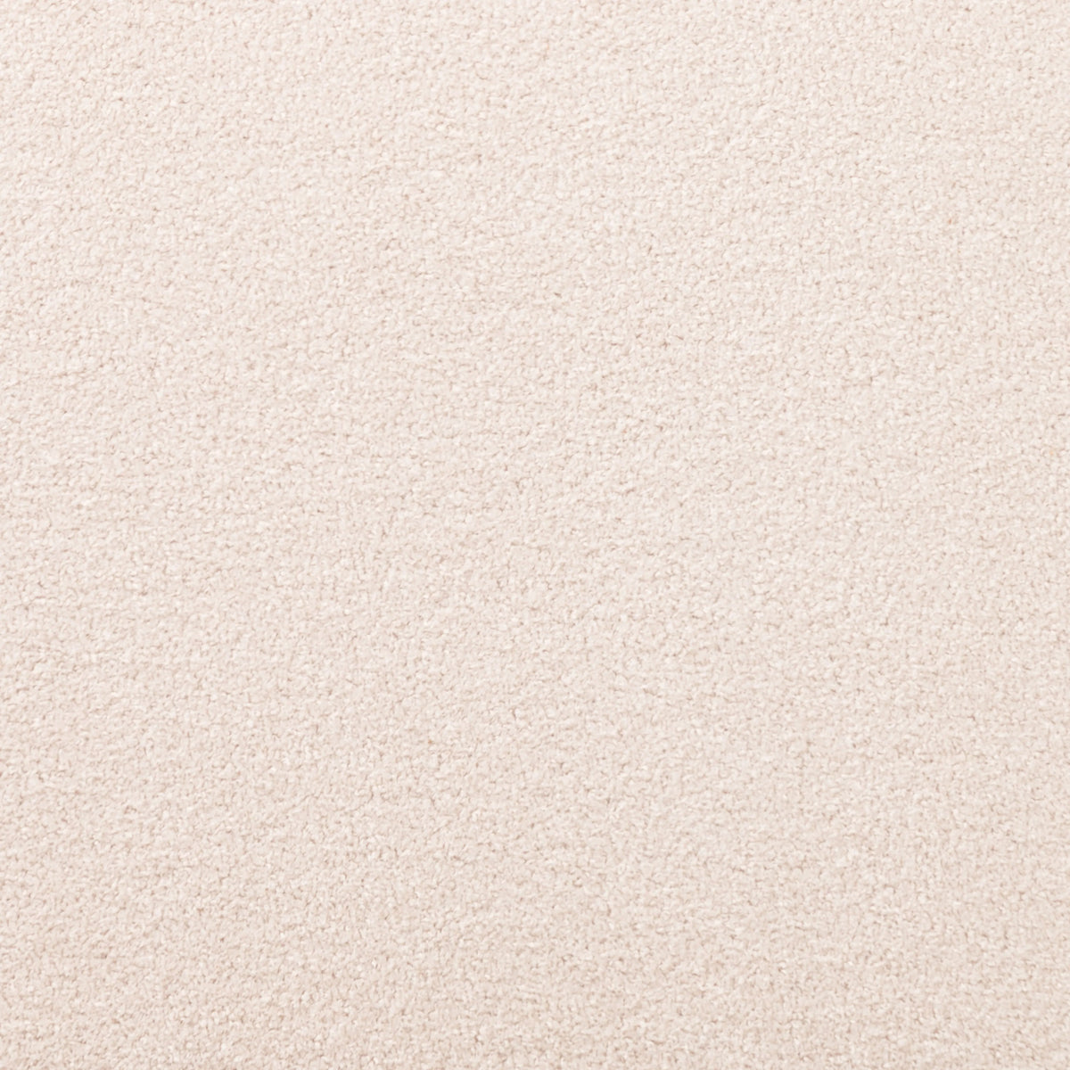 Piermont Oyster | Four Hands Sample