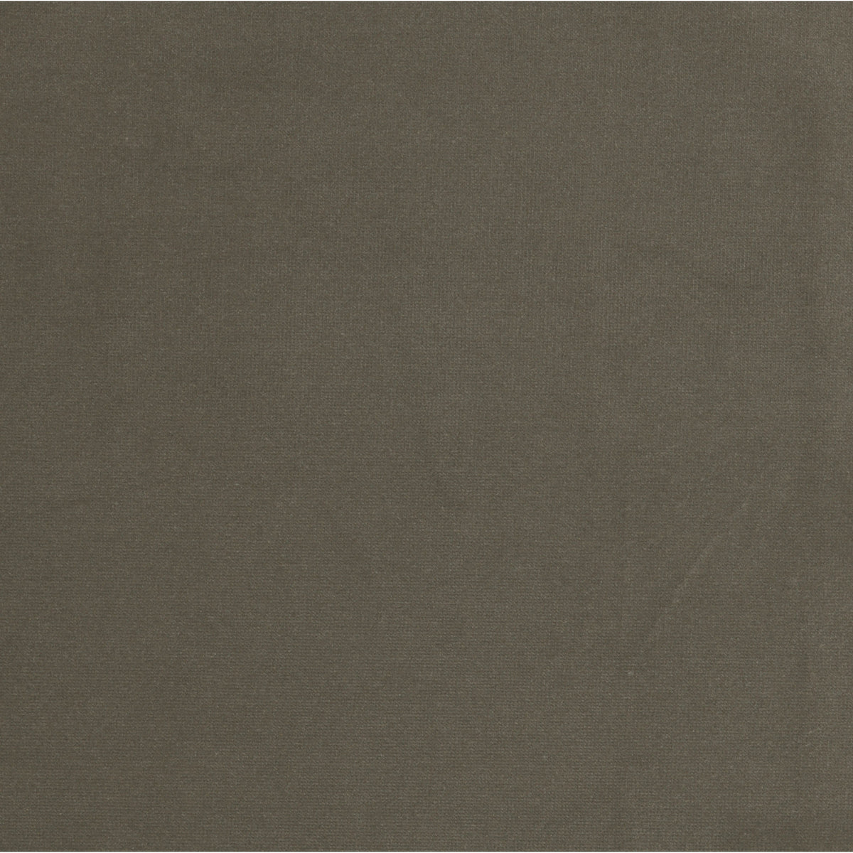 Sapphire Birch | Four Hands Sample
