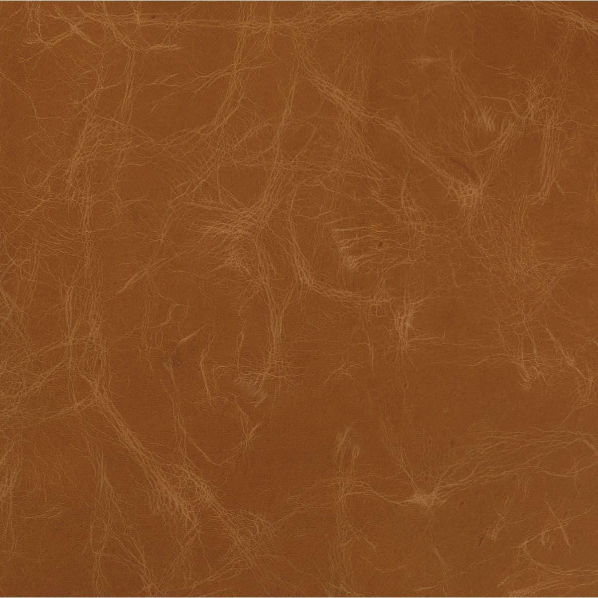 Sienna Chestnut | Four Hands Sample