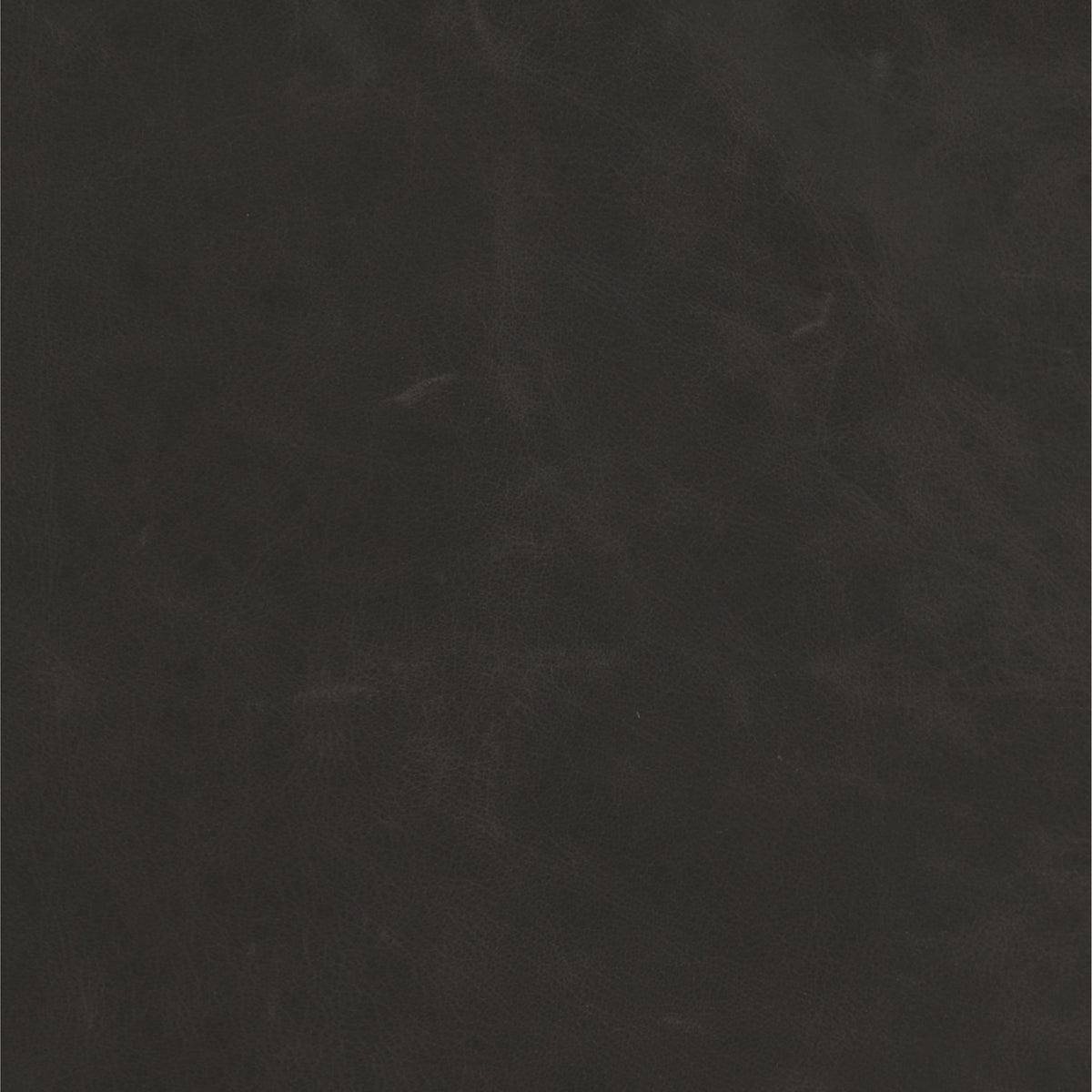 Sonoma Black | Four Hands Sample