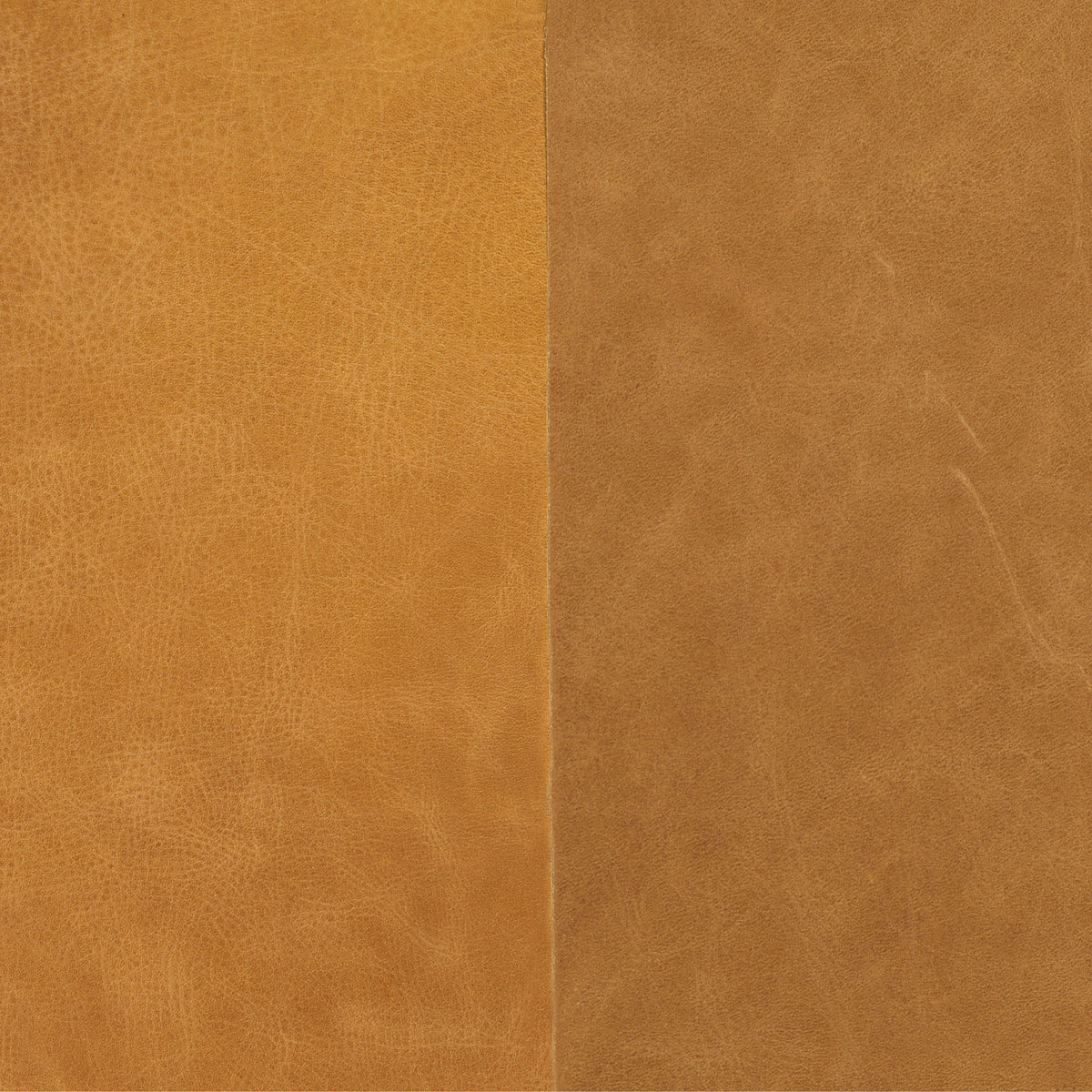 Sonoma Butterscotch | Four Hands Sample