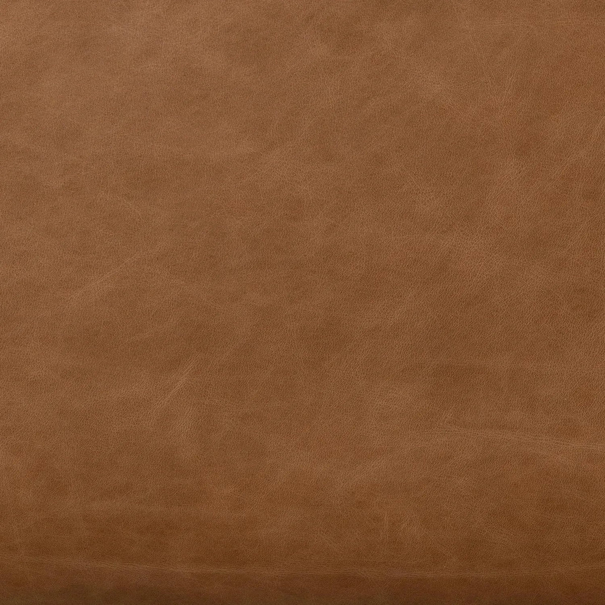 Sonoma Chestnut | Four Hands Sample