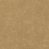  Amethyst Home provides interior design, new home construction design consulting, vintage area rugs, and lighting in the Los Angeles metro area.