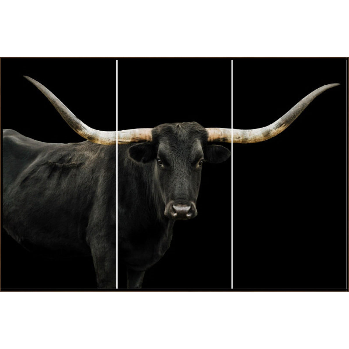 Black Long Horn Triptych Art
