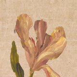 Blooms I Triptych by Brittney Schulz