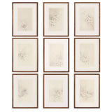 Breath Drawing Set Of 9 by Adrián White