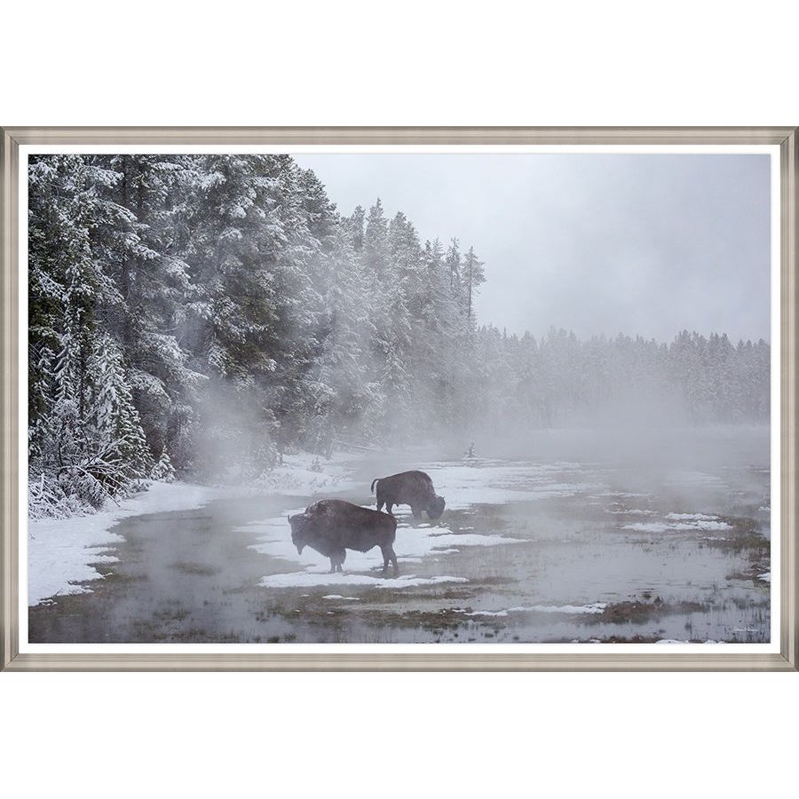 Buffalo on Mist Art
