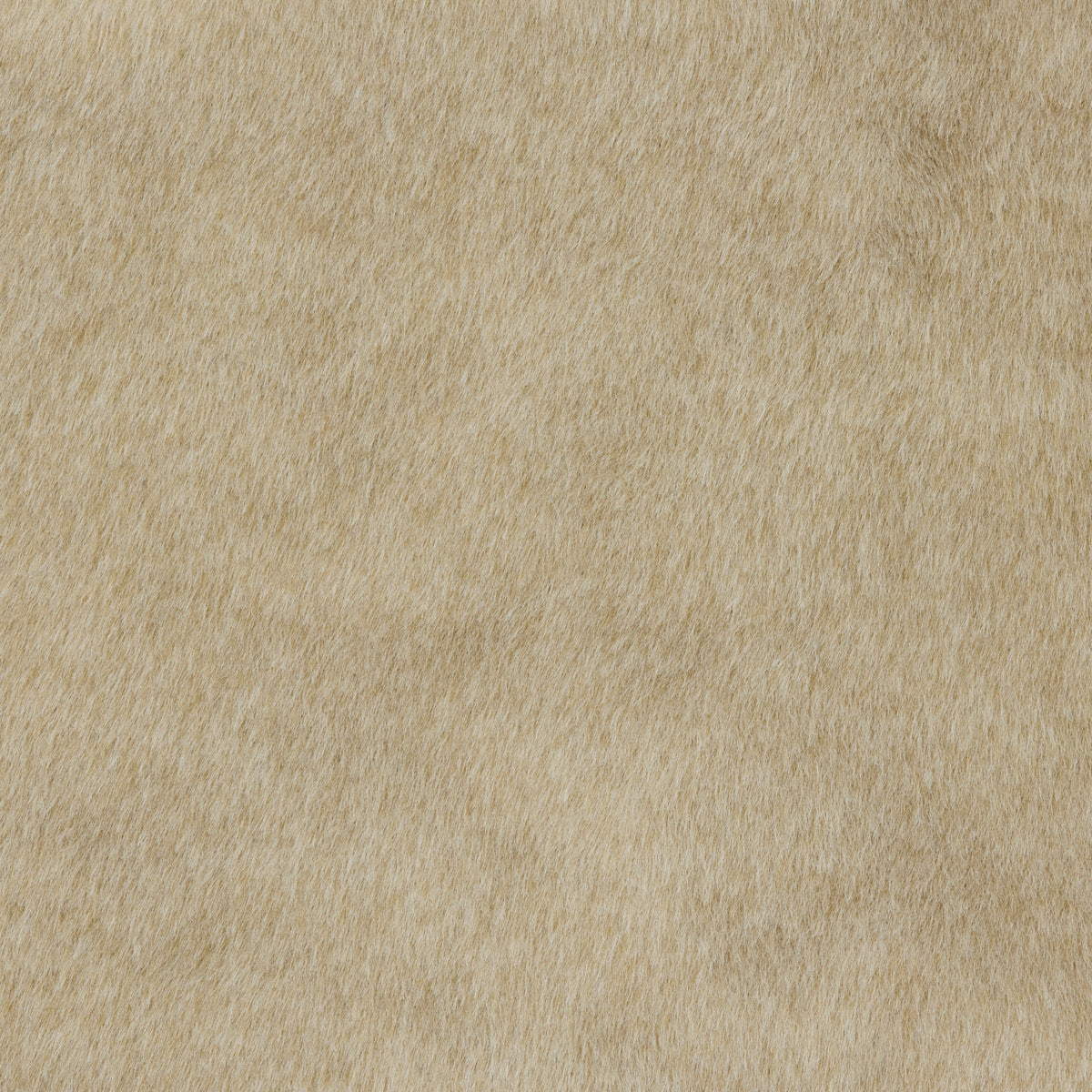 Cashmere Fawn Grade A | Verellen Fabric Sample