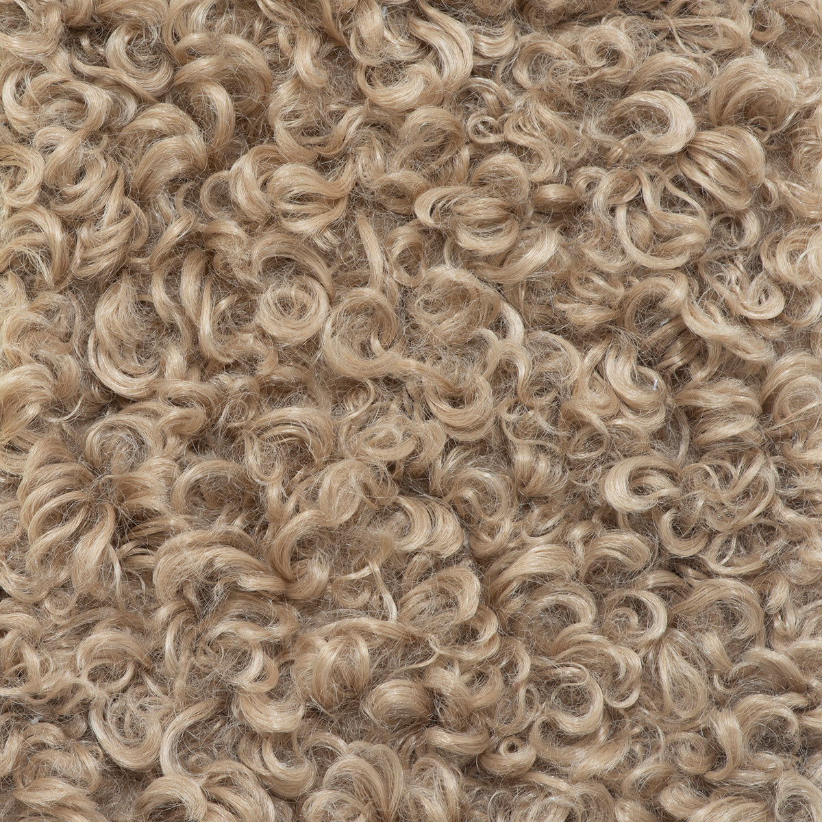 Curly Whirly Camel Grade C | Verellen Fabric Sample