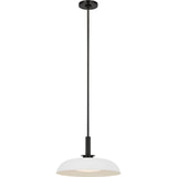 Cyrus 16" Pendant