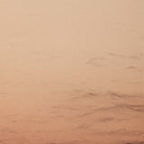 Enlightenment by Megan James