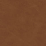 We love the retro style the natural cane of this Antonia Cane Brushed Ebony Armless Dining Chair brings to a dining room. Amethyst Home provides interior design, new home construction design consulting, vintage area rugs, and lighting in the Kansas City metro area.