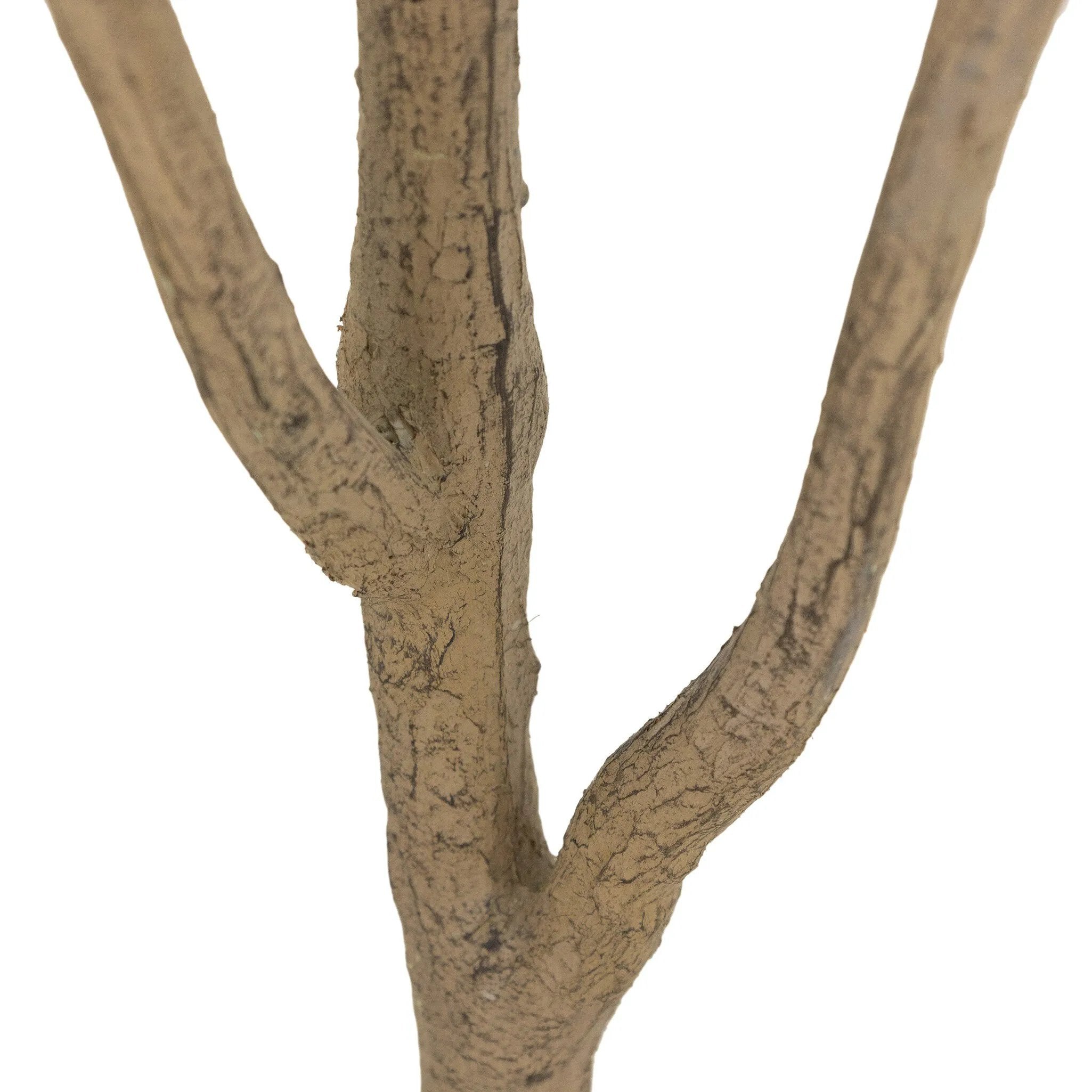 High-quality construction crafts the branches and disc-shaped leaves of this faux eucalyptus tree, for a realistic look that's designed for easy living. Ships in a black plastic liner pot. For indoor use only Amethyst Home provides interior design, new home construction design consulting, vintage area rugs, and lighting in the Boston metro area.