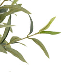 Dense foliage and high-quality construction shape the branches and leaves of this faux fruitless olive tree, for a realistic look that's designed for easy living. Ships in a black plastic liner pot. For indoor use only Amethyst Home provides interior design, new home construction design consulting, vintage area rugs, and lighting in the Dallas metro area.