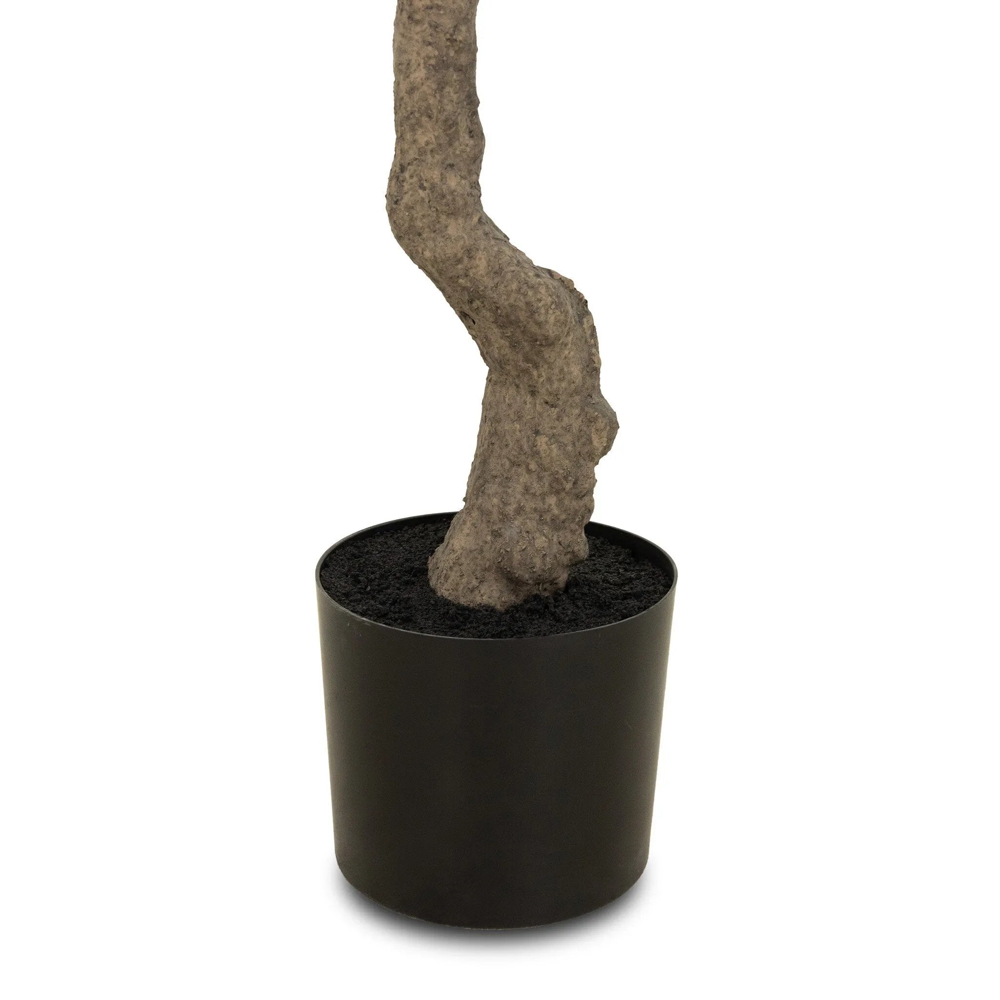 Dense foliage and high-quality construction shape the branches and leaves of this faux fruitless olive tree, for a realistic look that's designed for easy living. Ships in a black plastic liner pot. For indoor use only Amethyst Home provides interior design, new home construction design consulting, vintage area rugs, and lighting in the Miami metro area.