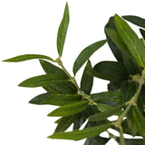 Dense foliage and high-quality construction shape the branches and leaves of this faux fruitless olive tree, for a realistic look that's designed for easy living. Ships in a black plastic liner pot. For indoor use only Amethyst Home provides interior design, new home construction design consulting, vintage area rugs, and lighting in the San Diego metro area.