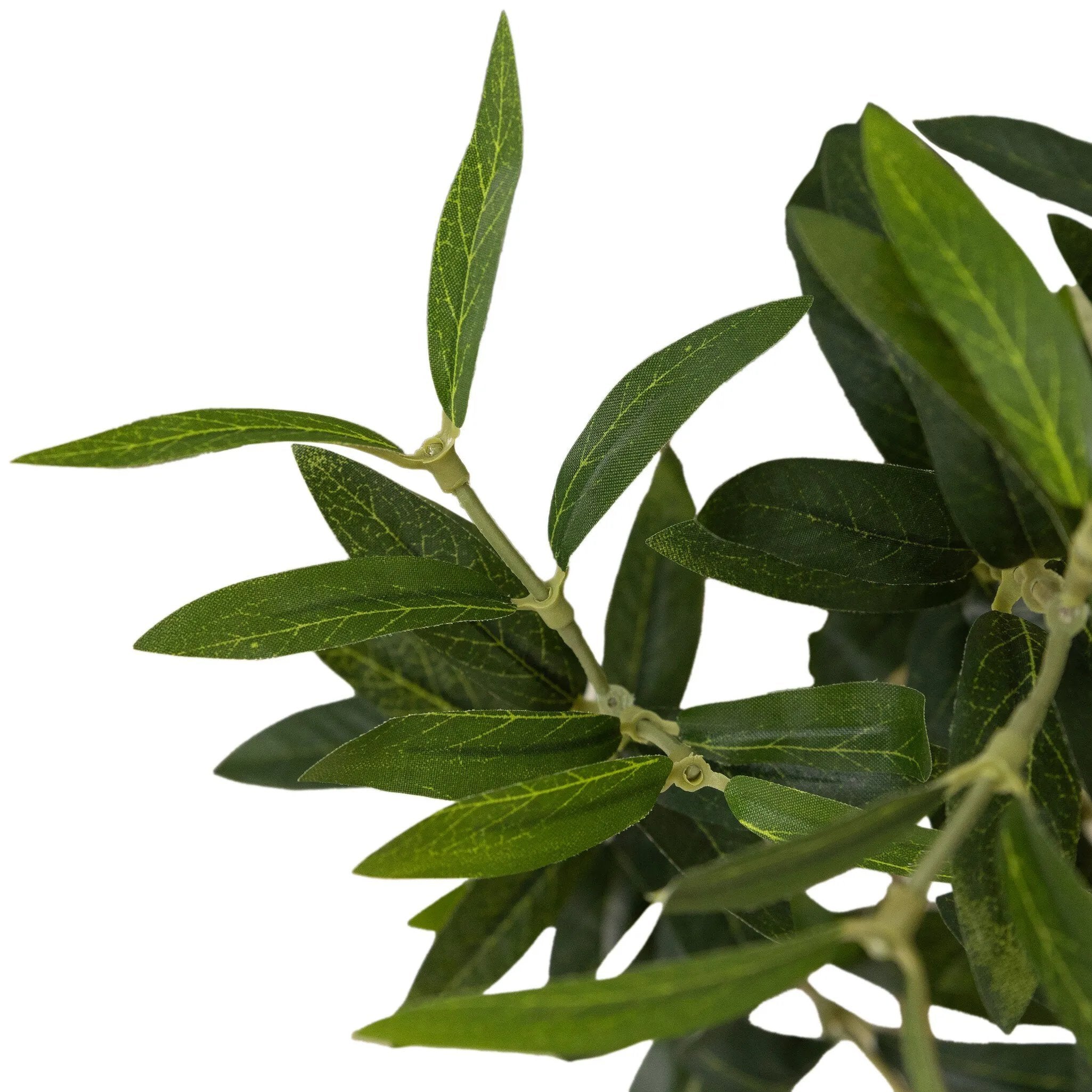 Dense foliage and high-quality construction shape the branches and leaves of this faux fruitless olive tree, for a realistic look that's designed for easy living. Ships in a black plastic liner pot. For indoor use only Amethyst Home provides interior design, new home construction design consulting, vintage area rugs, and lighting in the San Diego metro area.