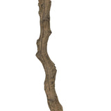 Dense foliage and high-quality construction shape the branches and leaves of this faux fruitless olive tree, for a realistic look that's designed for easy living. Ships in a black plastic liner pot. For indoor use only Amethyst Home provides interior design, new home construction design consulting, vintage area rugs, and lighting in the Washington metro area.