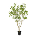 Natural-looking foliage and high-quality construction shape the branches and leaves of this faux pieris tree, for a realistic look that's designed for easy living. Ships in a black plastic liner pot. For indoor use only Amethyst Home provides interior design, new home construction design consulting, vintage area rugs, and lighting in the Calabasas metro area.