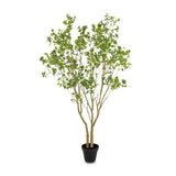 Natural-looking foliage and high-quality construction shape the branches and leaves of this faux pieris tree, for a realistic look that's designed for easy living. Ships in a black plastic liner pot. For indoor use only Amethyst Home provides interior design, new home construction design consulting, vintage area rugs, and lighting in the Calabasas metro area.