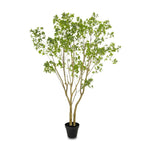 Natural-looking foliage and high-quality construction shape the branches and leaves of this faux pieris tree, for a realistic look that's designed for easy living. Ships in a black plastic liner pot. For indoor use only Amethyst Home provides interior design, new home construction design consulting, vintage area rugs, and lighting in the Tampa metro area.