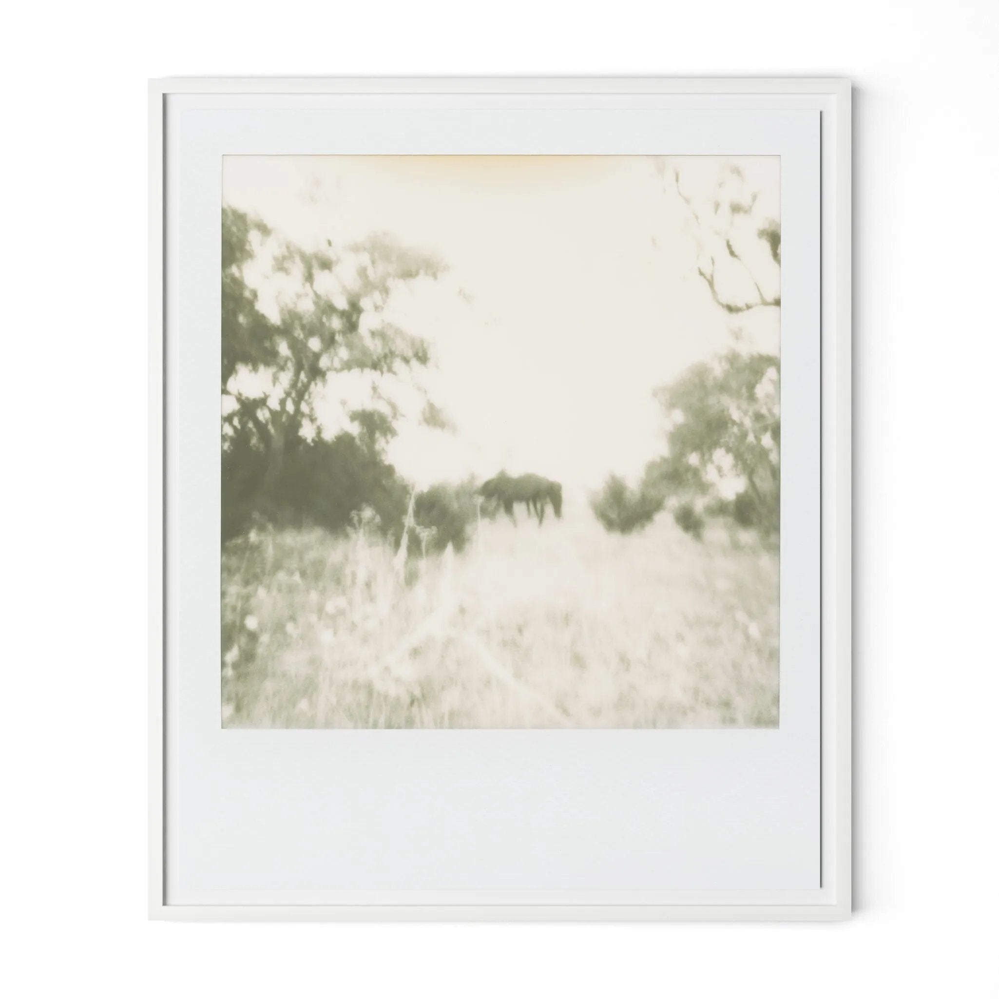 Austin, Texas-based Darden Smith’s multi-media practice encompasses music, photography, illustration, video and printmaking. Also a singer-songwriter, he draws inspiration from cartoons, line drawings and watercolors.  Handmade in Austin, Texas Amethyst Home provides interior design, new home construction design consulting, vintage area rugs, and lighting in the Calabasas metro area.