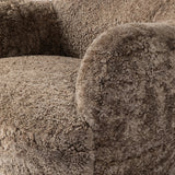 Featuring Julius Taupe Shearling Swivel Chair by Four Hands at Amethyst Home. With a supple pile that's soft to the touch, taupe shearling upholstery pairs with an S-spring seat and enveloped frame for an inviting look and feel on this 360-degree swivel chair.Overall Dimensions: 35.00"w x 36.00"d x 29.50"hWeight : 63.93 lbsMaterials: Shearling, Solid Parawo. Amethyst Home provides interior design, new home construction design consulting, vintage area rugs, and lighting in the San Diego metro area.