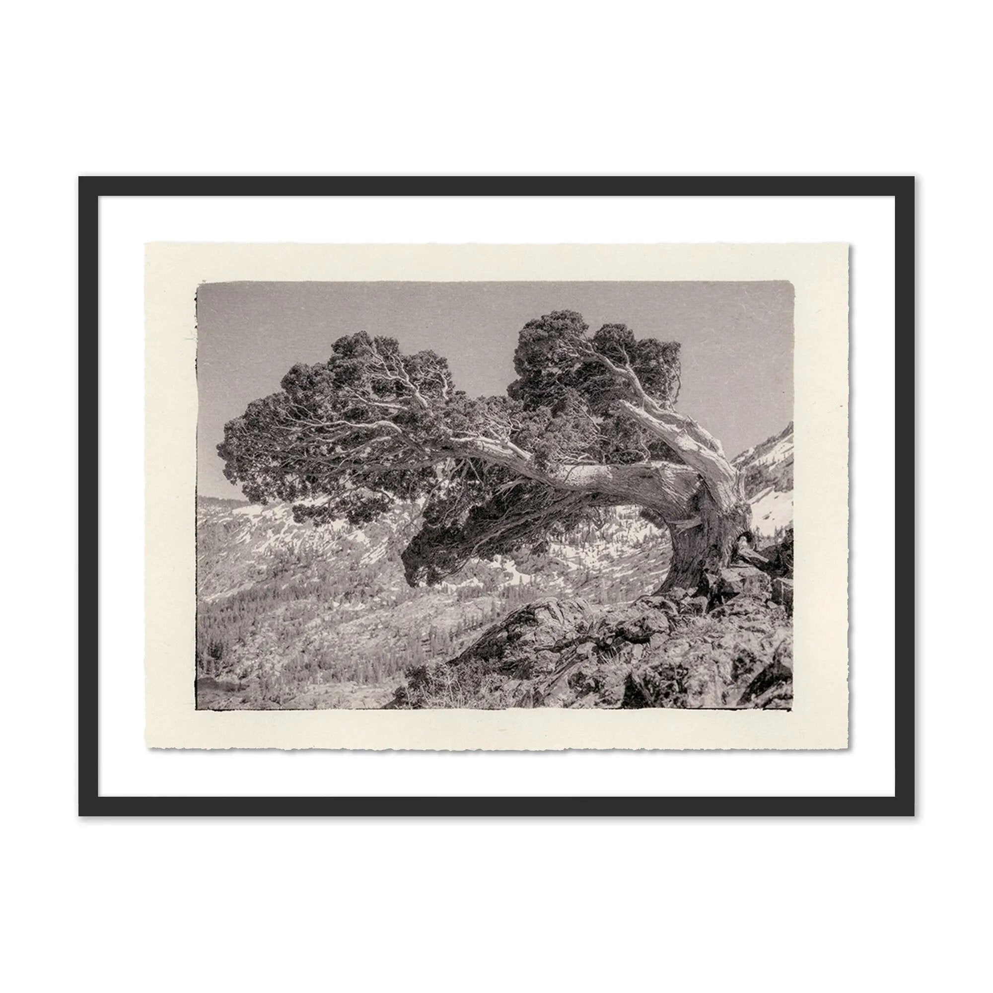 Sébastien de Feraudy fell in love with photography as a child in France, admiring his father as he developed film in his own darkroom. Slow and contemplative in his work, the now-San Franciscan emphasizes mood and composition over precision or reality. Amethyst Home provides interior design, new home construction design consulting, vintage area rugs, and lighting in the Des Moines metro area.