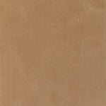 Trendy folded sides complement a comfortable bench-style seat of soft, camel-colored upholstery.As lovers of natural aesthetics at Amethyst, we love the optimistic inspired Mitchell Accent Bench - Surrey Camel. This item pairs well with other brands such as Cisco Home and is perfect for modern homes Amethyst Home provides interior design, new home construction design consulting, vintage area rugs, and lighting in the San Diego metro area.