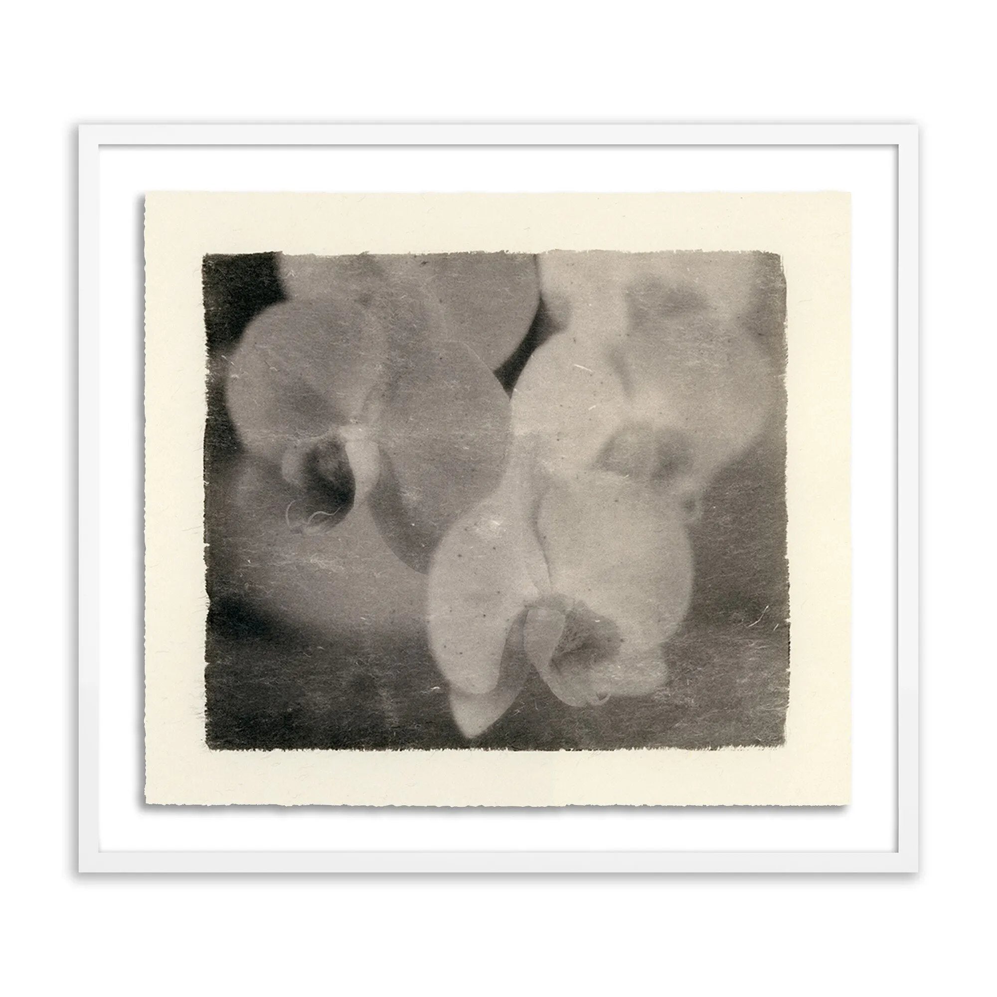 Sébastien de Feraudy fell in love with photography as a child in France, admiring his father as he developed film in his own darkroom. Slow and contemplative in his work, the now-San Franciscan emphasizes mood and composition over precision or reality. Amethyst Home provides interior design, new home construction design consulting, vintage area rugs, and lighting in the Nashville metro area.