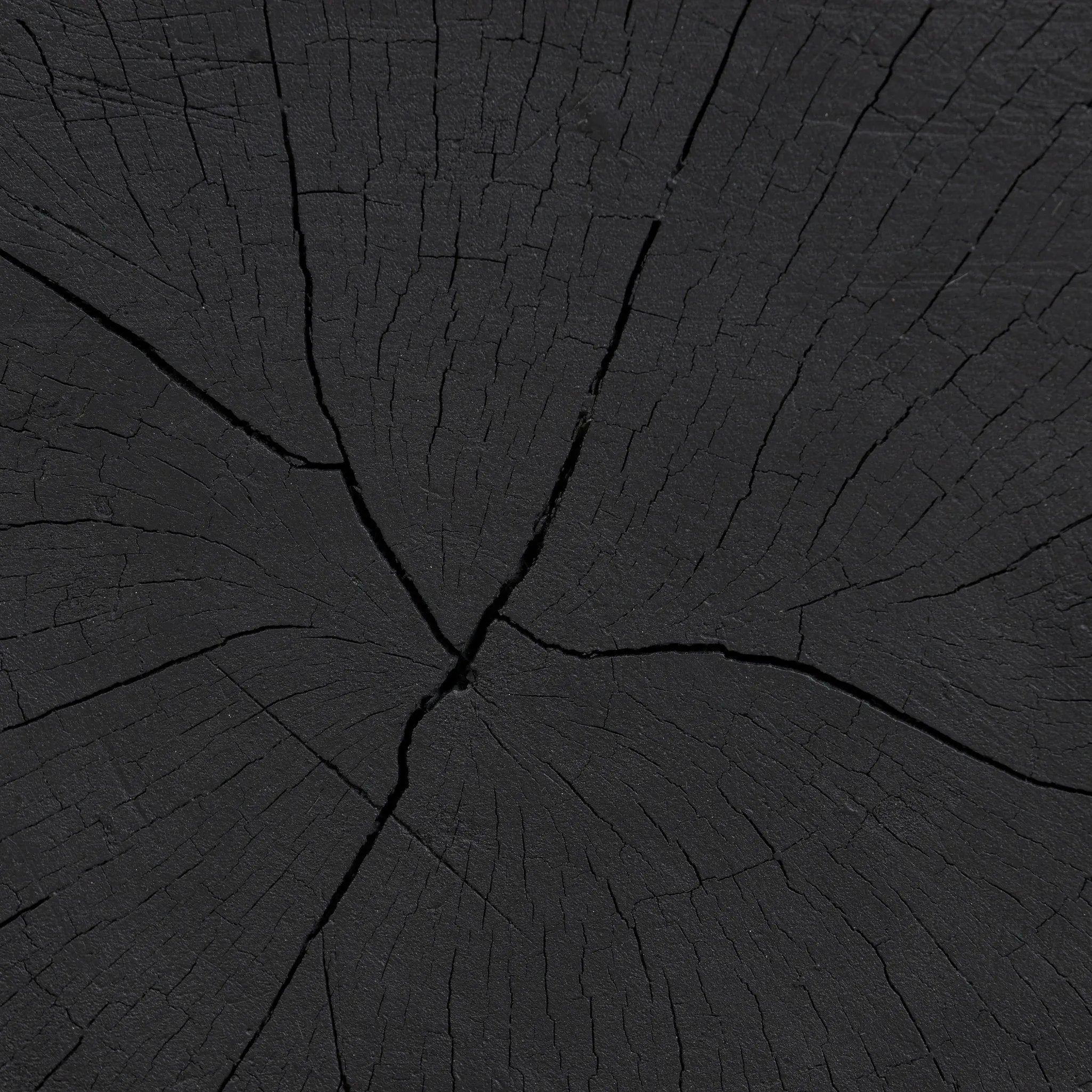 Ground any room with a style inspired by the beautiful simplicity of nature. Made of black-finished resin, the form for this special piece is molded from a tree trunk, then cast in resin to recreate the same shape and texture of the trunk — talk about a true statement piece Amethyst Home provides interior design, new home construction design consulting, vintage area rugs, and lighting in the Kansas City metro area.