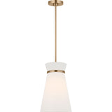 Fynn One Light Pendant