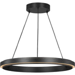 Midnight Black Bulb(s) Not Included