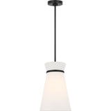 Midnight Black Bulb(s) Included | shipping 12/10/2026