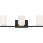 Midnight Black Bulb(s) Not Included