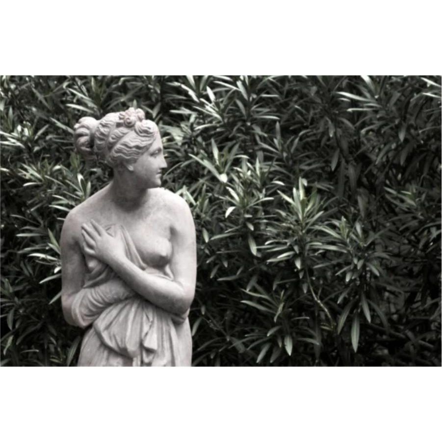 Gazing in the Garden Art