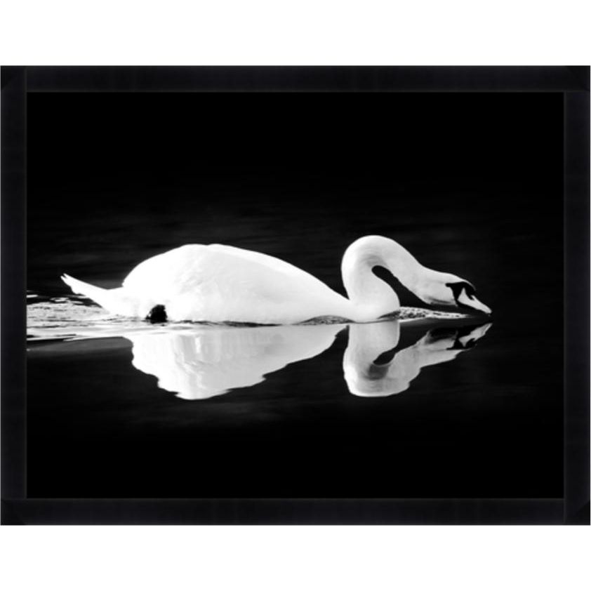Featuring Gliding Swan Black Framed Art by Wendover Art at Amethyst Home. Gliding quietly along the river, this framed view of the swan is captured beautifully in this Gliding Swan Art.
56"w x 43"h

Medium: Matte PaperTreatment: Straight Fit (No Mats)Size: 56"w x 43"h

Framed in Black with Glass Framed as shown.  Amethyst Home provides interior design, new home construction design consulting, vintage area rugs, and lighting in the Calabasas metro area.