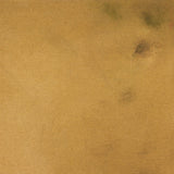 Gold Wash Abstract by Lauren Fuhr